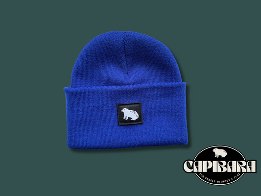 Capibara beanie in Royal Blue