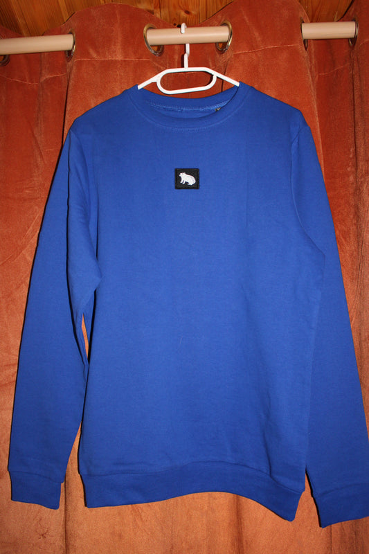 Capibara sweater in royal blue