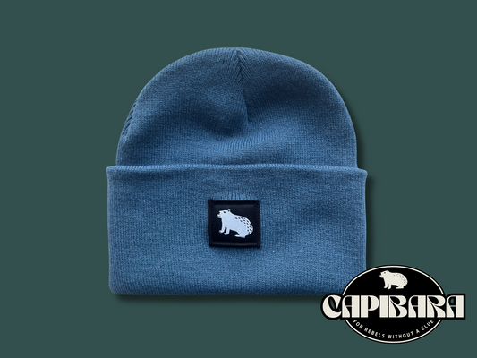 Capibara beanie in Air Force Blue